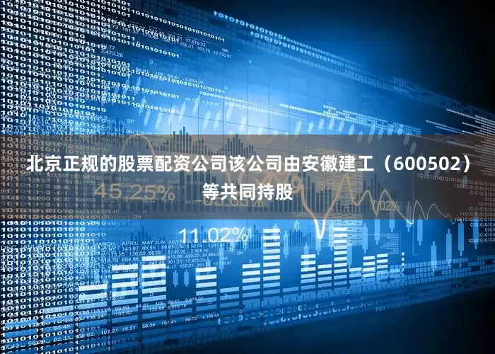 北京正规的股票配资公司该公司由安徽建工（600502）等共同持股